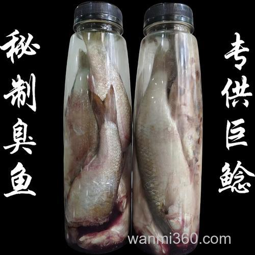 钓鱼王鲶鱼商品饵,钓鲶鱼用什么饵啊?