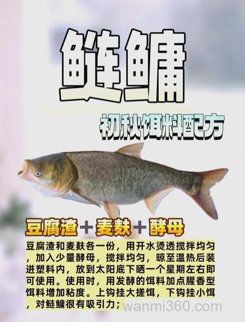 鲢鳙的习性和用什么鱼饵钓到鲢鳙