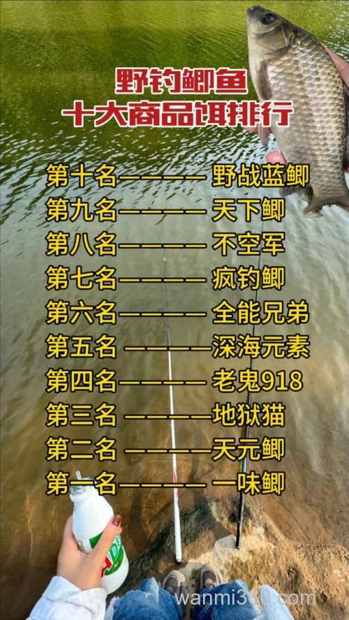 六月份钓鲫鱼用什么饵
