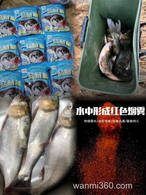 钓鲢鳙的大白粉
