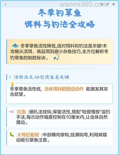 冬天钓草鱼的最佳饵料?