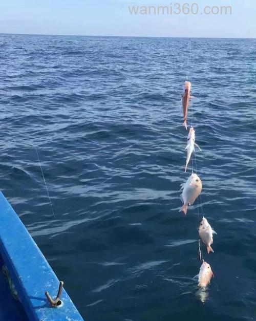 汕尾海钓为什么适合新手?从程序员到活地图,阿斌的经历改变你的看法