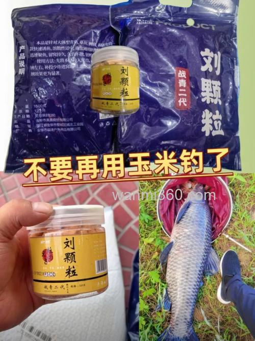 这款自制饵料钓鲤鱼鲫鱼青鱼最好使!