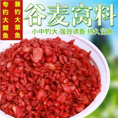 五谷杂粮玉米钓草鱼怎么样?