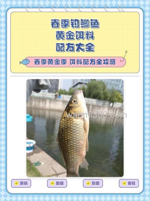 春天钓鲫鱼怎么配饵料