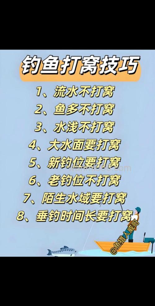 怎么打鱼窝 钓草鱼技巧 钓鱼料饵