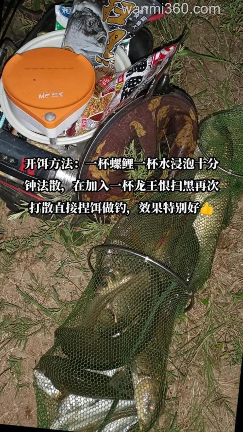 螺鲤2钓鲤鱼怎样搭配