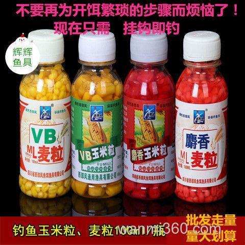 西部风麝香麦粒钓鱼效果？