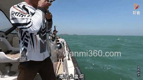 阿杰的德文海钓进阶之路:从新手到老手的实战技巧与选点心得
