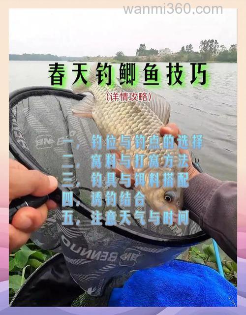 分享春季水草边钓鲫鱼的经验和技巧