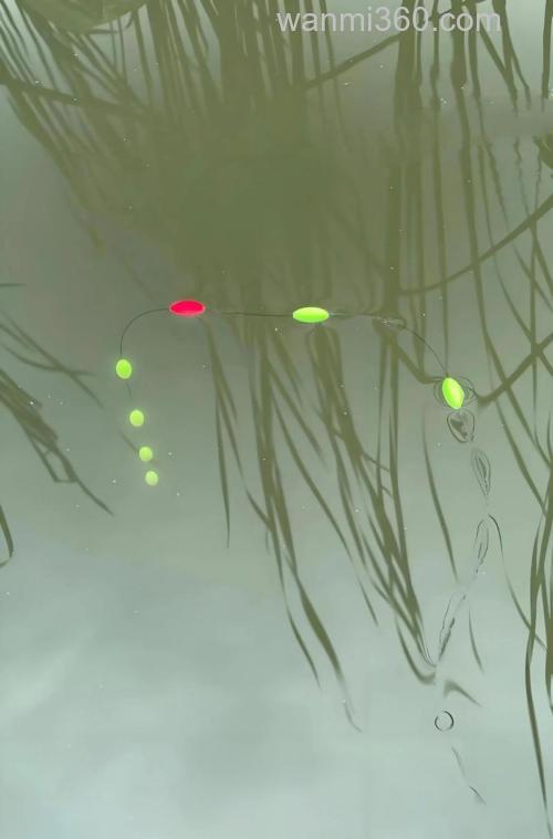 路亚钓鲫鱼七星漂方法？