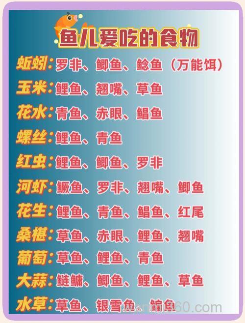 用什么钓鱼最好,各种鱼分别喜欢吃什么样的鱼料?