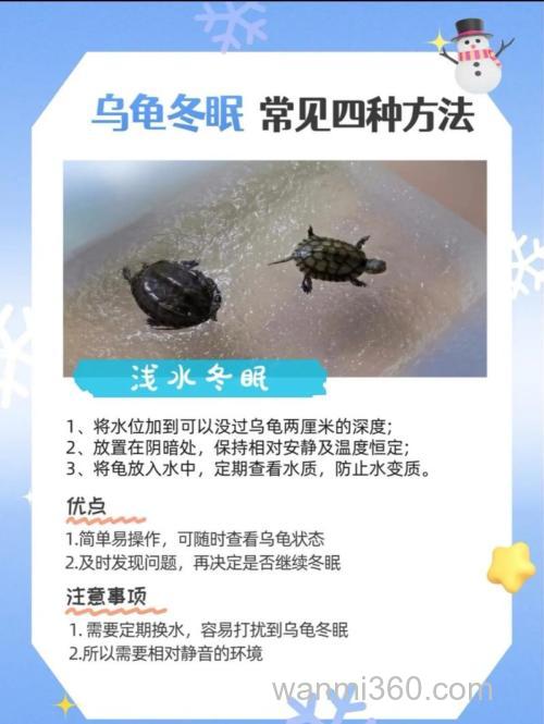巴西龟应该怎么养???