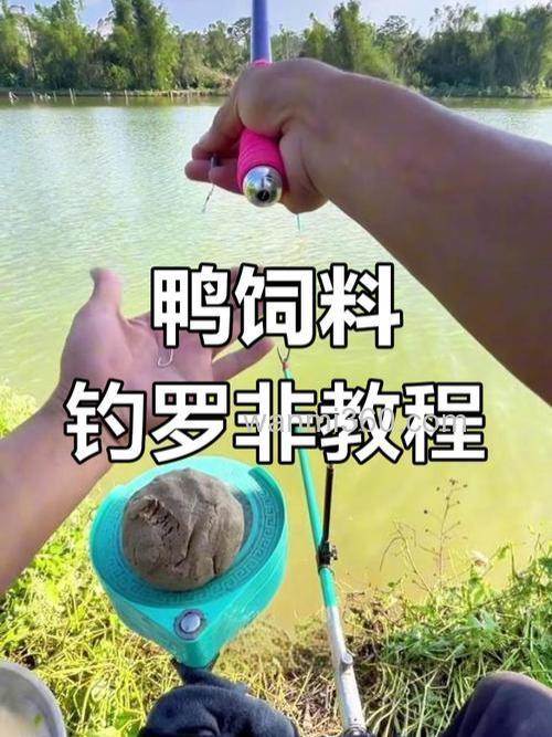鸭饲料钓鱼最佳用法?