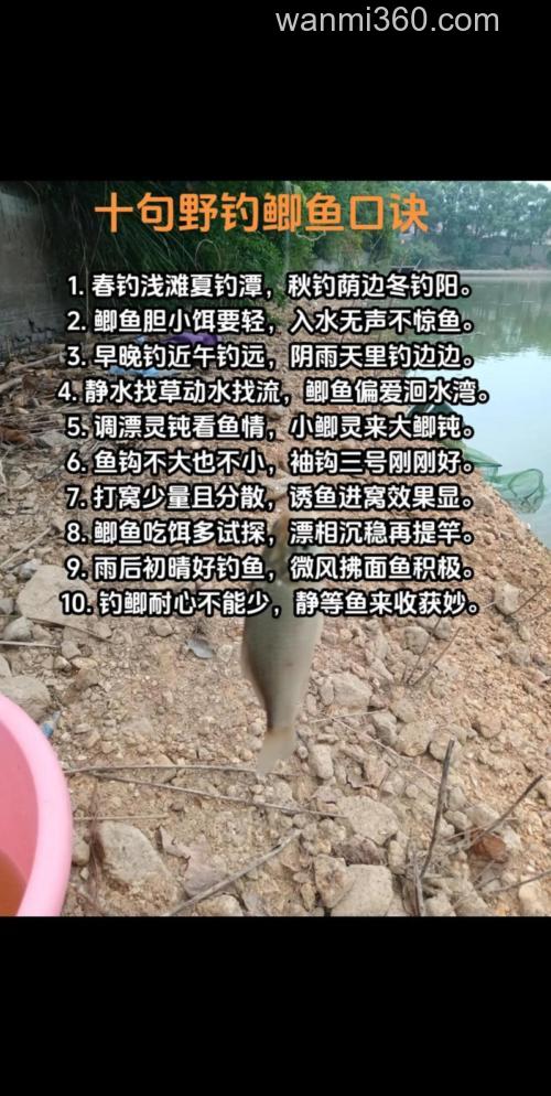 野钓鲫鱼时必须掌握的五个技巧