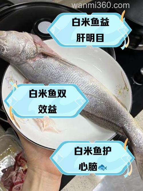 鲢鱼吃大米吗？