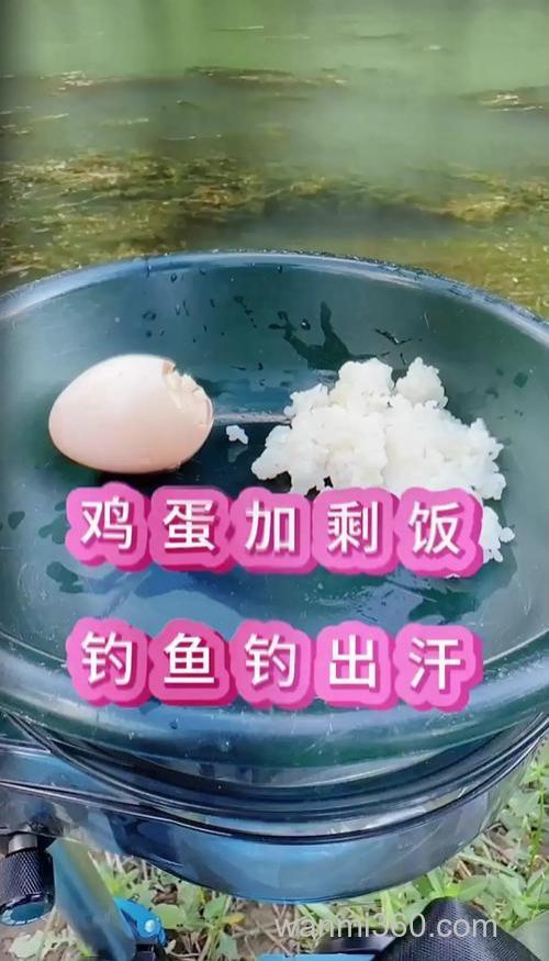 米饭饵钓鲤鱼配方?