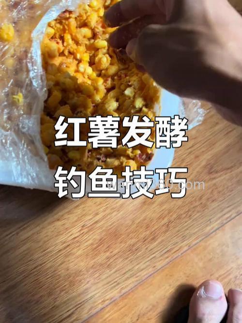 冬天拿红薯还是玉米钓鲤鱼好？