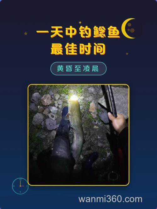 夜钓鲶鱼要用什么比较好钓?要怎样钓?在晚上几点得时候比较好钓?求高手回答…