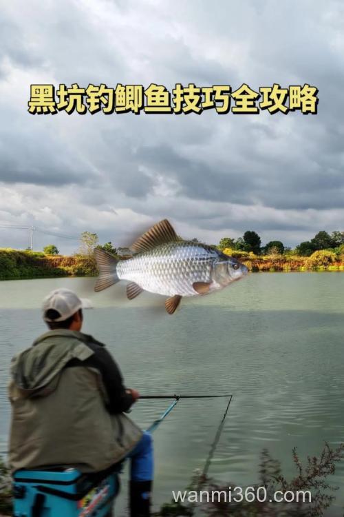 黑坑钓鲫鱼的实战技巧大全(下)