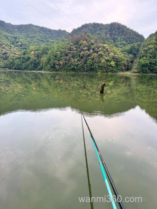山体水库夏天钓草鱼适合几米水深?