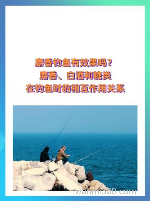 肥水滑鱼麝香钓鱼效果好吗
