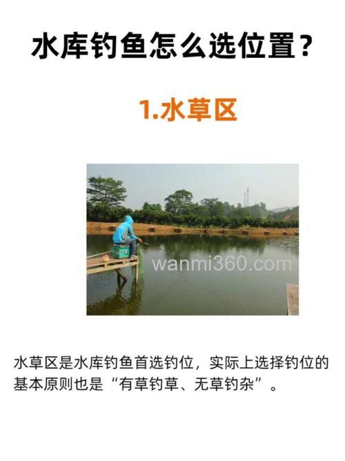 水库钓鲤鱼选什么位置用什么饵好