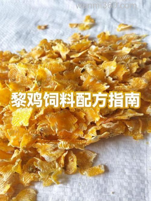 小鸡饲料打爆炸钩钓鲤鱼配方 其实非常简单