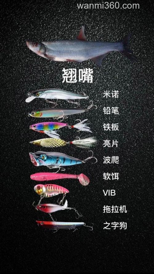 什么淡水鱼可以路亚 说说什么饵料好用