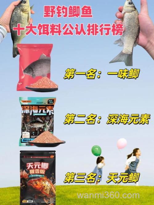 请教秋天野钓鲫鱼用啥饵料好使