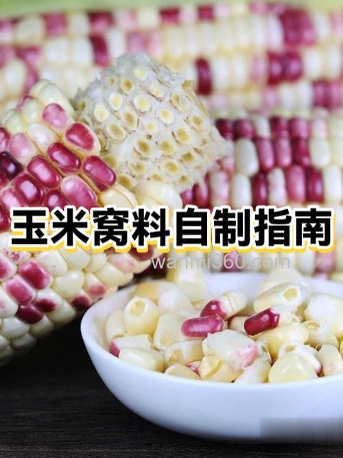 嫩玉米窝料怎么保存?