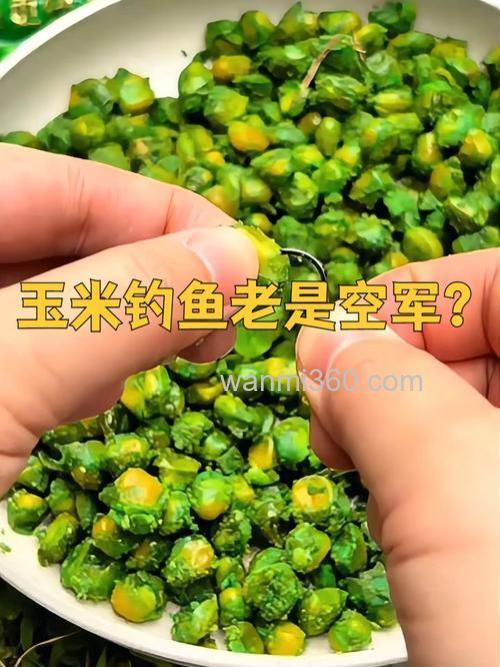 甜薯味饵料钓什么鱼?