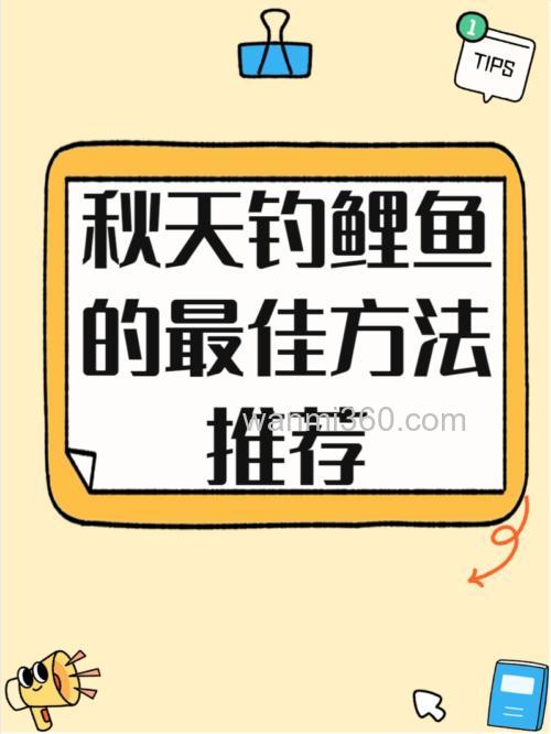 秋季怎样钓鲤鱼