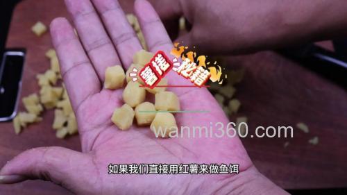 怎样将红薯制作翻板饵料?