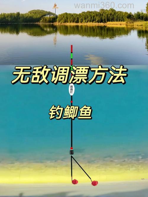 野钓、台钓定层打浮钓鲫鱼的技巧