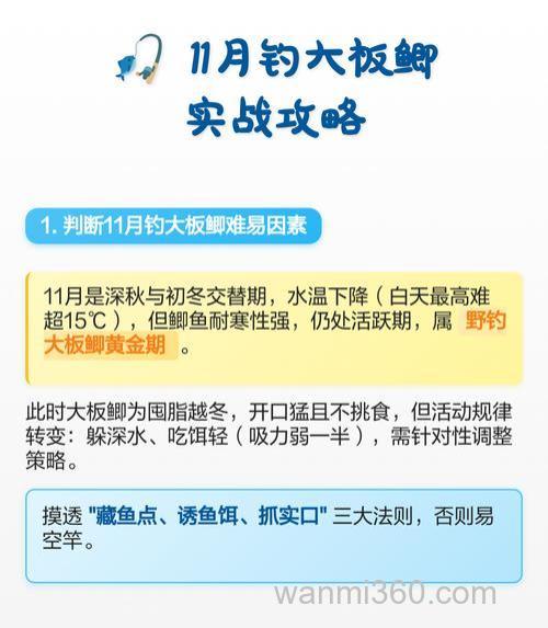 11月钓鱼有什么技术