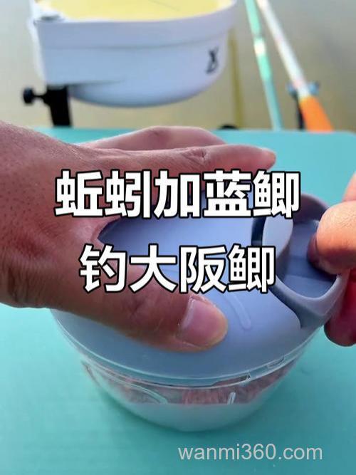 蚯蚓蘸蓝鲫钓鱼效果好?