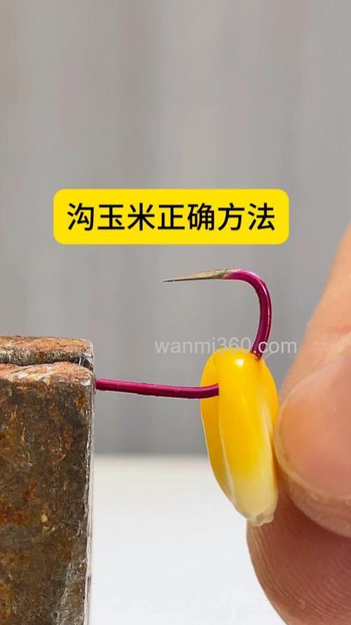 嫩苞谷钓鱼的正确挂法?