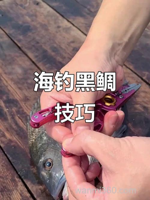 台钓黑鲷技巧:掌握觅食位置、水流潮汐,提升上鱼概率与搏鱼乐趣