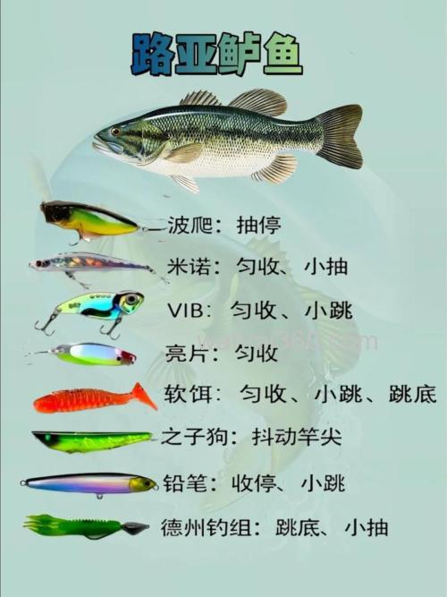 鲈鱼饵料最佳配方制作?