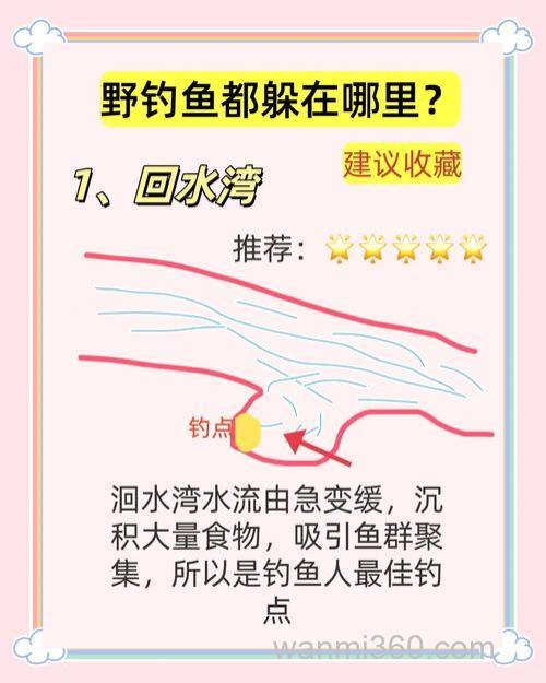 野钓黄金季,5个注意事项帮到你
