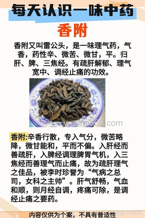 你认为还应加哪一味中药?