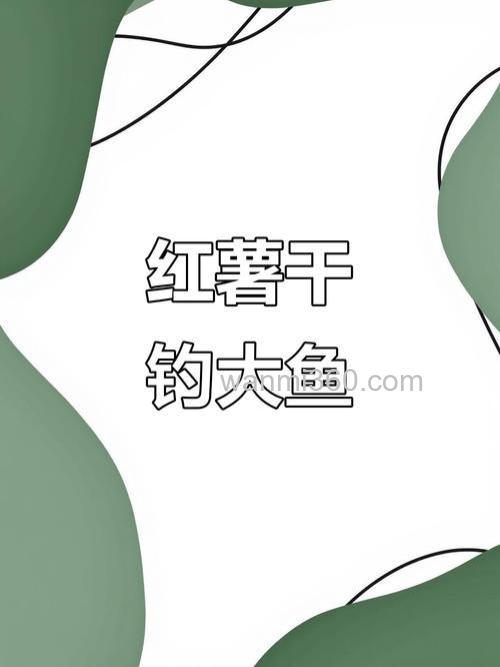 红薯干钓鱼的正确方法?