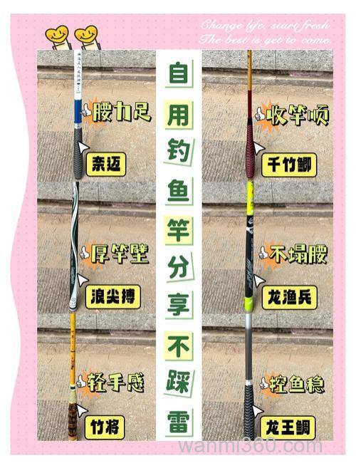 台钓装备分类收纳指南,提升作钓效率的实用方法