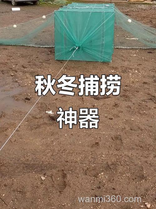 迷魂网捕鱼需要放什么饵料?