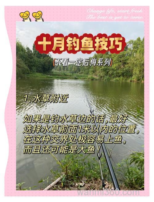 秋季河道怎样钓鱼