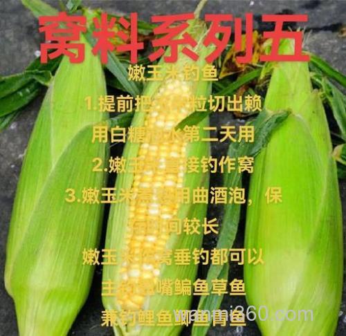 绿色玉米钓鱼配方?