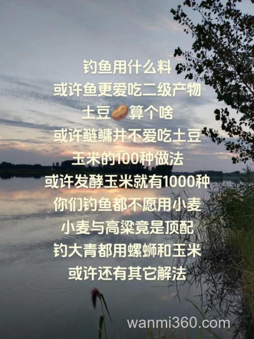 鲢鳙吃发酵玉米吗？