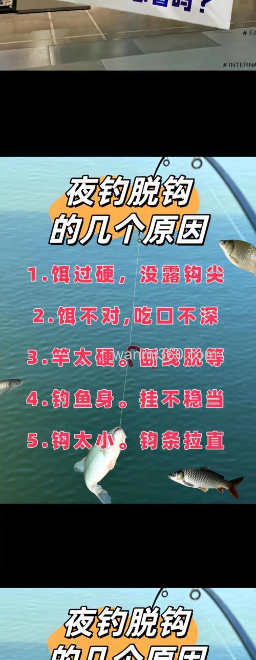 四种钓鲫鱼最常遇到的脱钩原因(上)