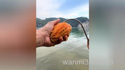 红薯一年四季都可以钓鱼吗?